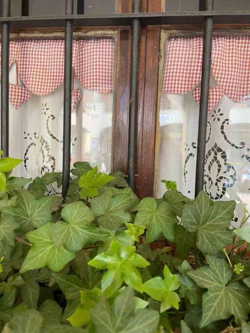 Appartamento “Sut L'Ala” Netro Buitenkant foto