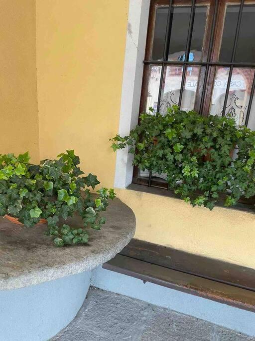 Appartamento “Sut L'Ala” Netro Buitenkant foto