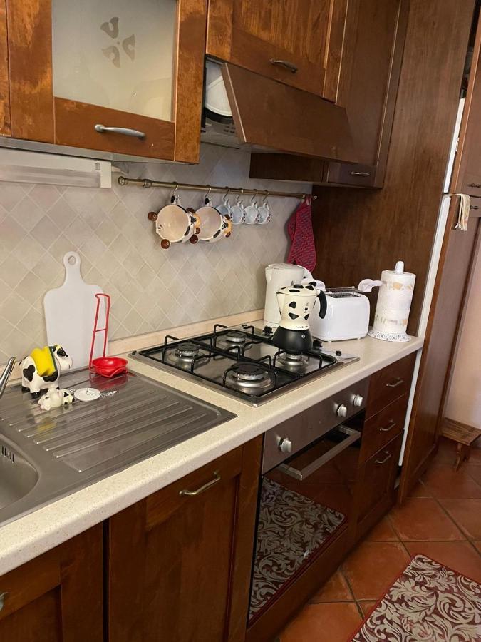Appartamento “Sut L'Ala” Netro Buitenkant foto